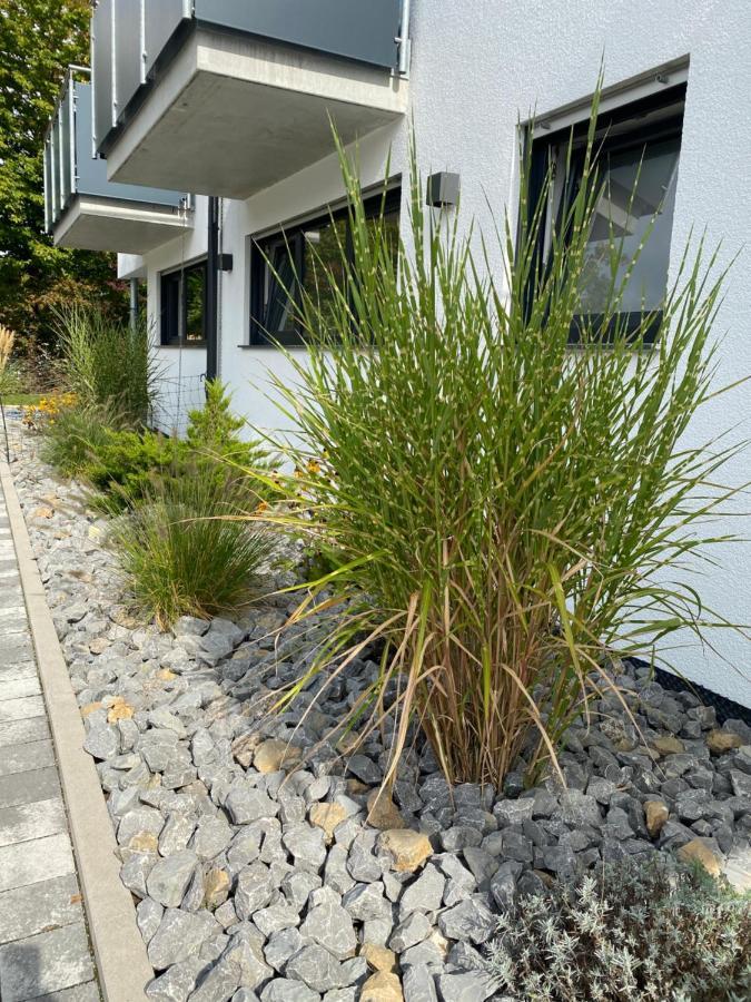 Rainer Appartements Besigheim Buitenkant foto